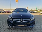 Mercedes C 300 C300*Skóra*Kamera*Drewno*Łopatki*CzujnikMartwegoPola*Gwarnacja - 6