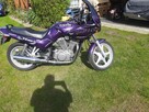 Suzuki vx800 - 3
