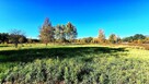 Sprzedam działkę budowlaną 1101 m2 ,Łomianki- Dąbrowa - 6