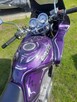 Suzuki vx800 - 4