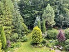 Dom położony bezpośrednio nad prywatnym jeziorem / Kaszuby - 14