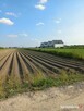 Działka 5270 m² w Ładach, blisko Warszawy - 4