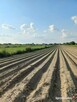 Działka 5270 m² w Ładach, blisko Warszawy - 5