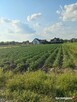 Działka 2190 m² w Ładach, blisko Warszawy - 2