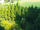 Dom położony bezpośrednio nad prywatnym jeziorem / Kaszuby - 12