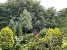 Dom położony bezpośrednio nad prywatnym jeziorem / Kaszuby - 15