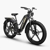 Rower elektryczny Fiido TITAN solidny fatbike 750W 14.5Ah 13 - 2