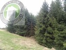 Działka rolno-budowlana Krośnica gm. Krościenko n - 5