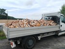 Transport busem - 2