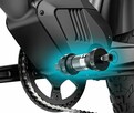 Rower elektryczny Fiido TITAN solidny fatbike 750W 14.5Ah 13 - 5