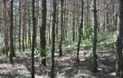 Nieruchomość zabudowana dwoma domami w zabudowie szeregowej - 9