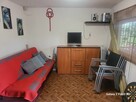 Zadbany ogródek Zabrze Mikulczyce - 4