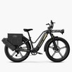 Rower elektryczny Fiido TITAN solidny fatbike 750W 14.5Ah 13 - 6