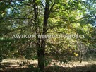 Działka budowlana Żelechów gm. Żabia Wola - 3