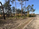 Działka z lasem Górsk/Czarne Błoto - 2