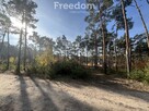 Działka z lasem Górsk/Czarne Błoto - 3