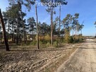 Działka z lasem Górsk/Czarne Błoto - 5