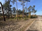 Działka z lasem Górsk/Czarne Błoto - 6