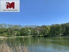 Działka siedliskowa Lwowiany gm. Głubczyce Lwowiany, Lwowiany - 5