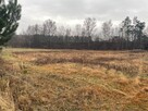 Duża działka 50 km od centrum Warszawy blisko S8 - 7