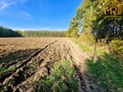 Działka rolno-budowlana Sutków gm. Dąbrowa Tarnowska - 7