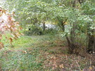 Piastów, działka na sprzedaż - 4
