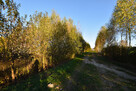 Działka z warunkami zabudowy - Sokołów Młp - 4