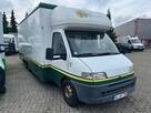 Fiat Ducato Autosklep mięso Gastronomiczny Food Truck Foodtruck sklep bar Borco - 7