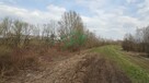 Działka Kaniów gm. Bestwina - 2