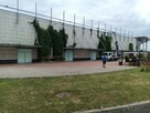 Przycinanie drzew - 6