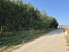 Syndyk sprzeda nieruchomość gruntową - 12