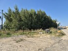 Syndyk sprzeda nieruchomość gruntową - 14