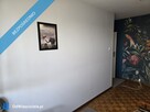 Studenckie 3 pokojowe na wynajem - 49 m2,Toruń ul. Gagarina. - 10