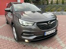 Opel Grandland X Blis,Czyt. Znaków,Kamery,Led,Navi, Serwis //GWARANCJA/ - 7