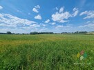 Działka w malowniczej okolicy, 15 km od Olsztyna - 11