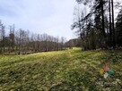 Działka rolna w otulinie lasu - 4