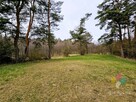 Działka rolna w otulinie lasu - 5
