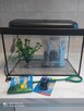 Akwarium nowe sprzedam - 3