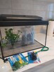 Akwarium nowe sprzedam - 5