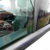 Ford Focus 1.5 - Park Assistant - asystent parkowania - 10