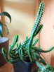 Cylindropuntia subulata- sukulent ten i inne... - 7