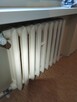 Malowanie ścian i sufitów, odświeżanie. Możliwe tapetowanie - 4