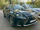 Lexus NX 300h 2020 Premium 4WD - 14