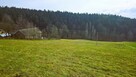 Działka siedliskowa- 99 arów- Beskid Sądecki - 2