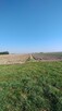 Dobra inwestycja pole orne 5.57 hektara. - 6
