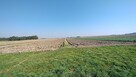 Zadbane i uprawiane grunty orne 5.575 hektara . - 6
