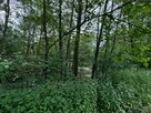 Urokliwy, duży teren budowlano-rekreacyjny w Cieszynie. - 11