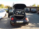 Volkswagen New Beetle - 7