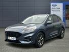 Ford Kuga 1.5 St-line 150KM ( Gwarancja ) LY80892 - 1