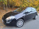 Fiat Punto 2012 . - 2